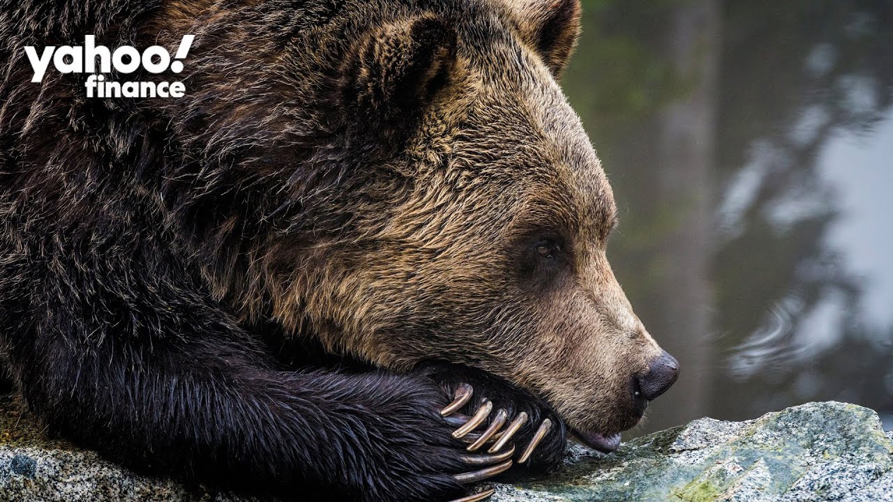 How rare is an S&P 500 bear market?