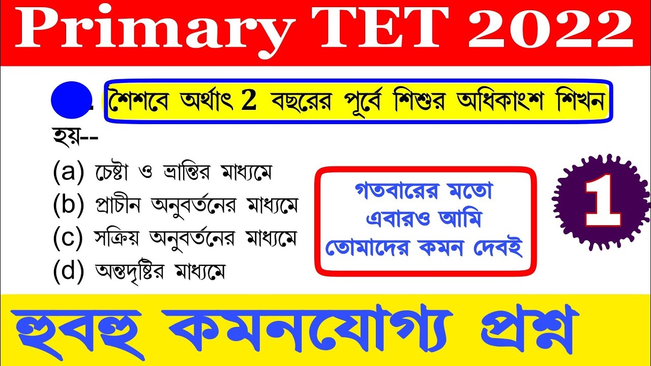 primary tet preparation 2022 | primary tet 2022 | primary tet class|primary teacher exam preparation