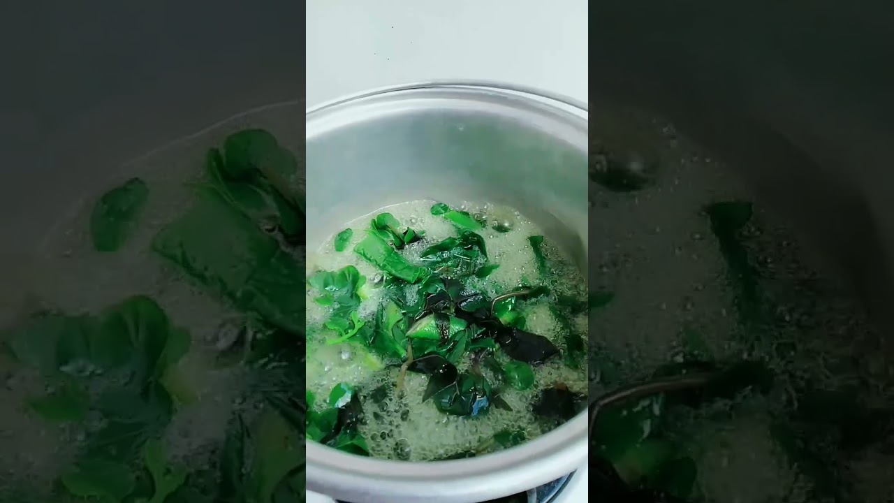 Sinabawang Gulay/Utan Bisaya #shorts #short #viral  #youtubeshorts #food #trending #ytshorts