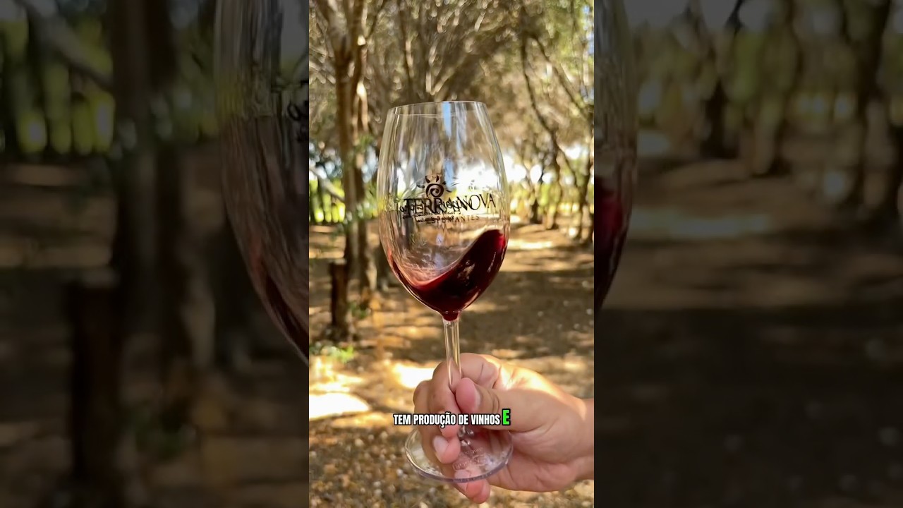 Uma vin&iacute;cola em pleno sert&atilde;o da Bahia? Sim! Vem conhecer.