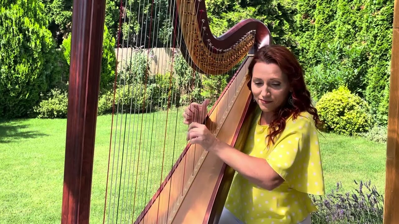 Pure Imagination from "The Willy Wonka & the Chocolate Factory" (harp cover)