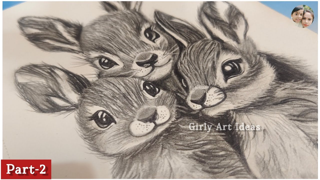 Adorable Bunnies Drawing | Easy Pencil Art For Beginners | Part-2 | 