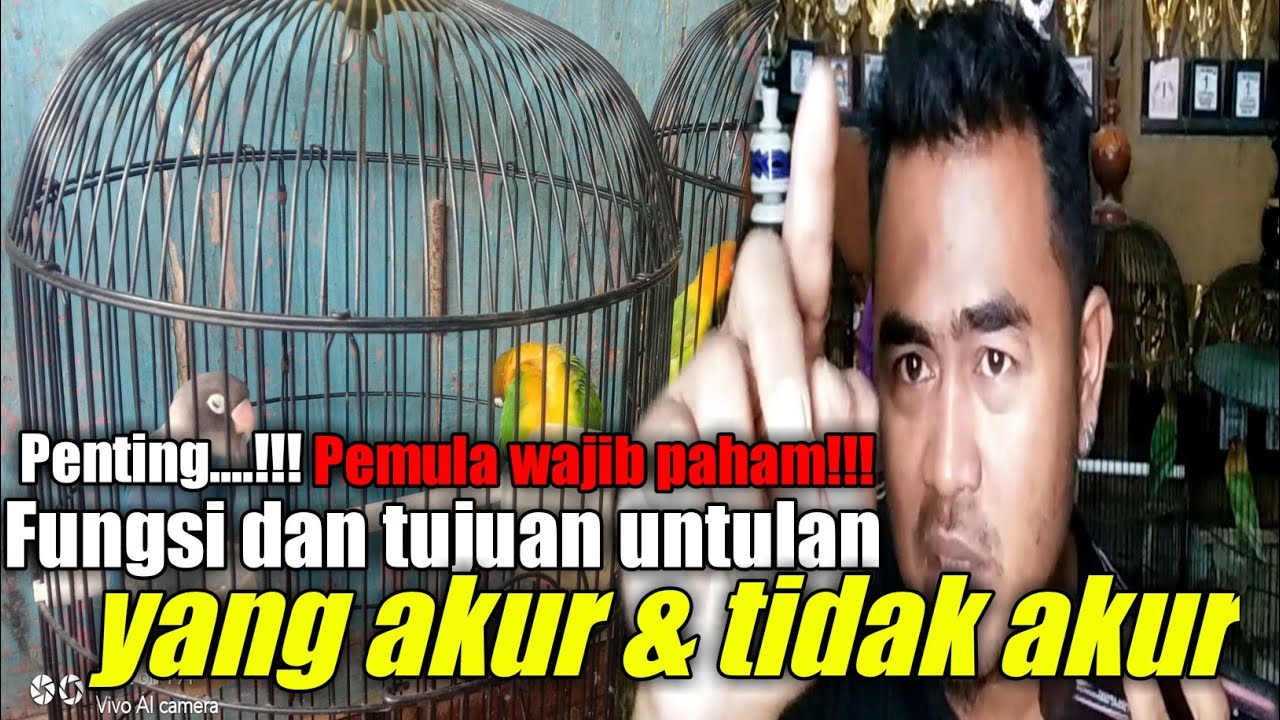 wajib paham!! manfaat dan tujuan untulan yang akur dan tidak akur fungsinya buat apa