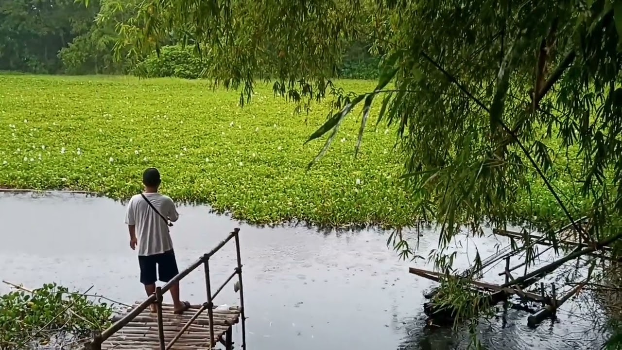 Suasana hujan di lokasi mancing 