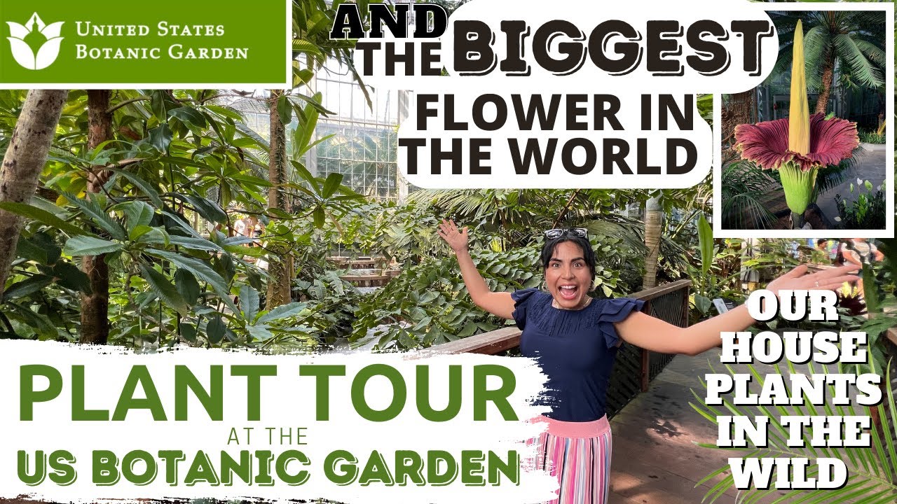 PLANT TOUR AT THE US BOTANIC GARDEN /OUR HOUSE PLANTS IN THE WILD & THE BIGGEST FLOWER IN THE WORLD!