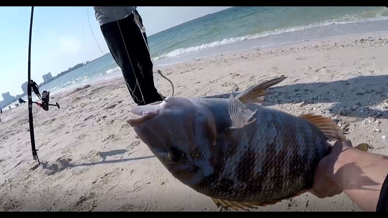 Mavic Pro Drone Fishing | How to Set-up + Incredible Catch!!!