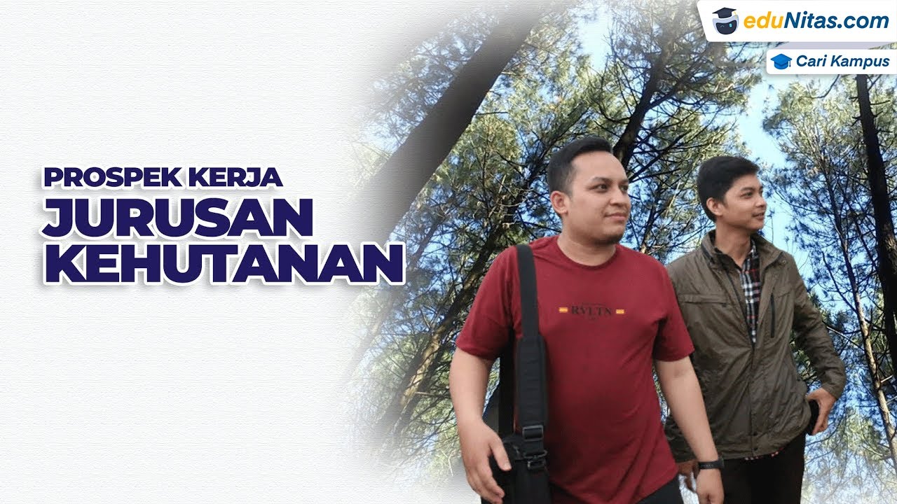 Prospek Kerja Kuliah Jurusan Kehutanan