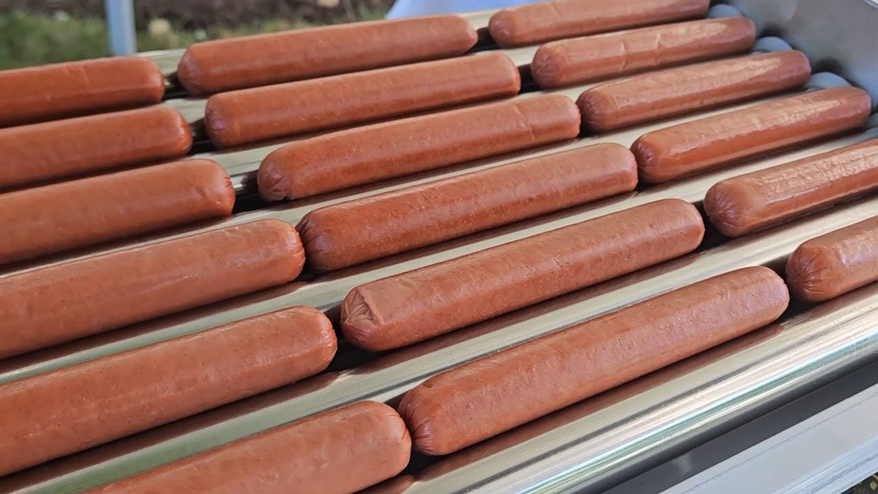 Vevor Hot Dog Roller Review & Tips