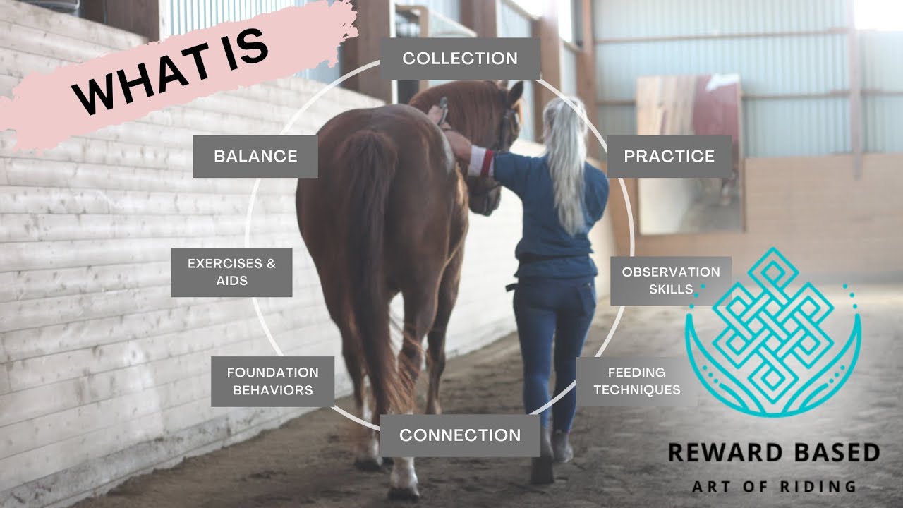 What is Reward Based Riding?