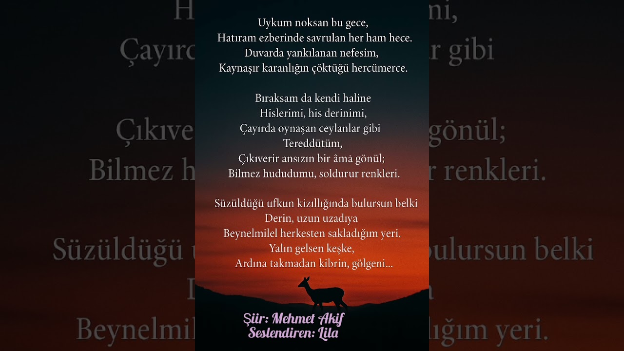 Uykum Noksan Bu Gece ~ Mehmet Akif 
