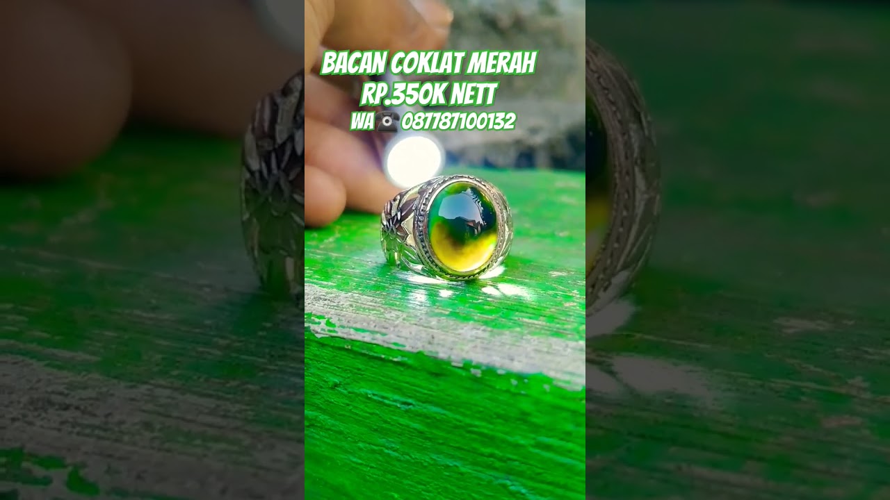 bacan coklat #bacan #bacandoko #rioekasaputra #viral #trending #bacanhijau #fypシ