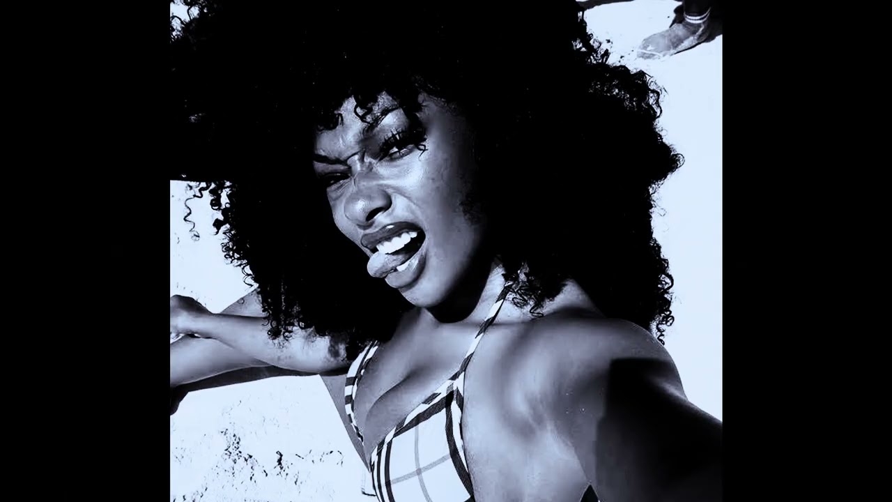 [FREE] Megan Thee Stallion Type Beat - 