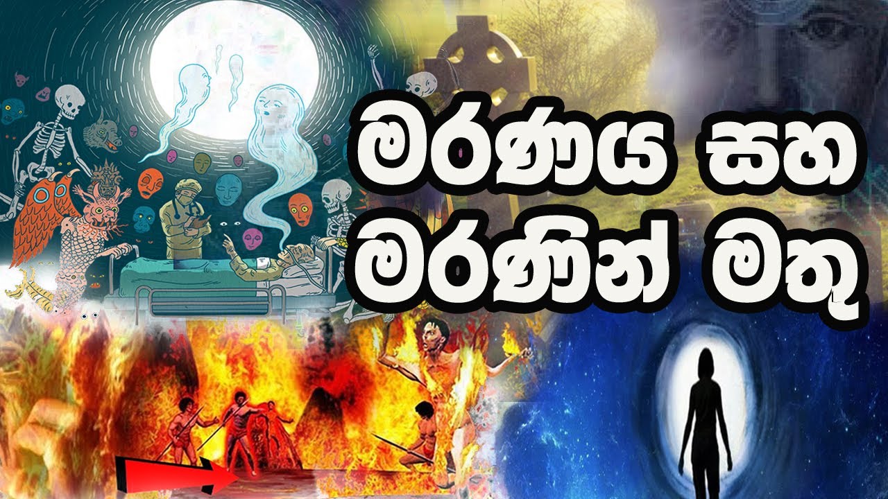 මරණය සහ පුනර්භවය පිළිබඳව ඔබ නොදන්නා කරුණු | The Buddhist
