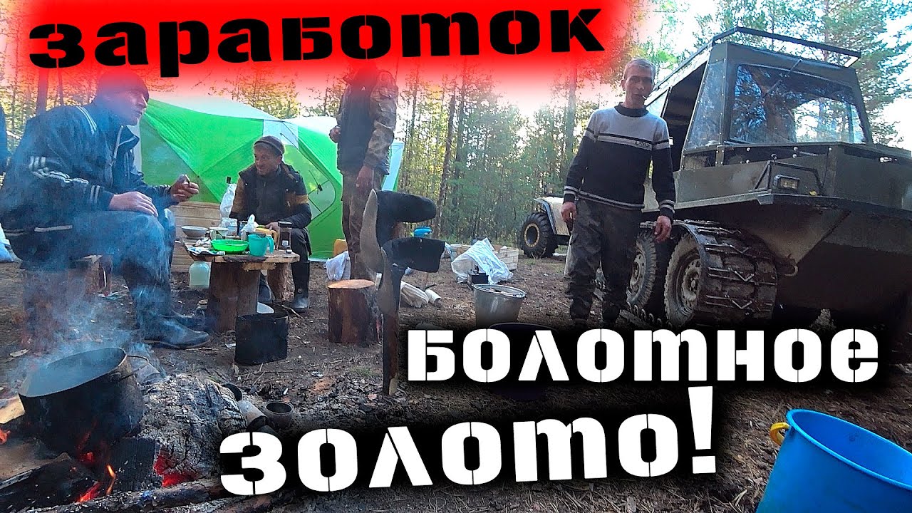 В ПОИСКАХ БОЛОТНОГО ЗОЛОТА! НЕДЕЛЮ В ТАЙГЕ! ПРОМЫСЕЛ СБОР КЛЮКВЫ!
