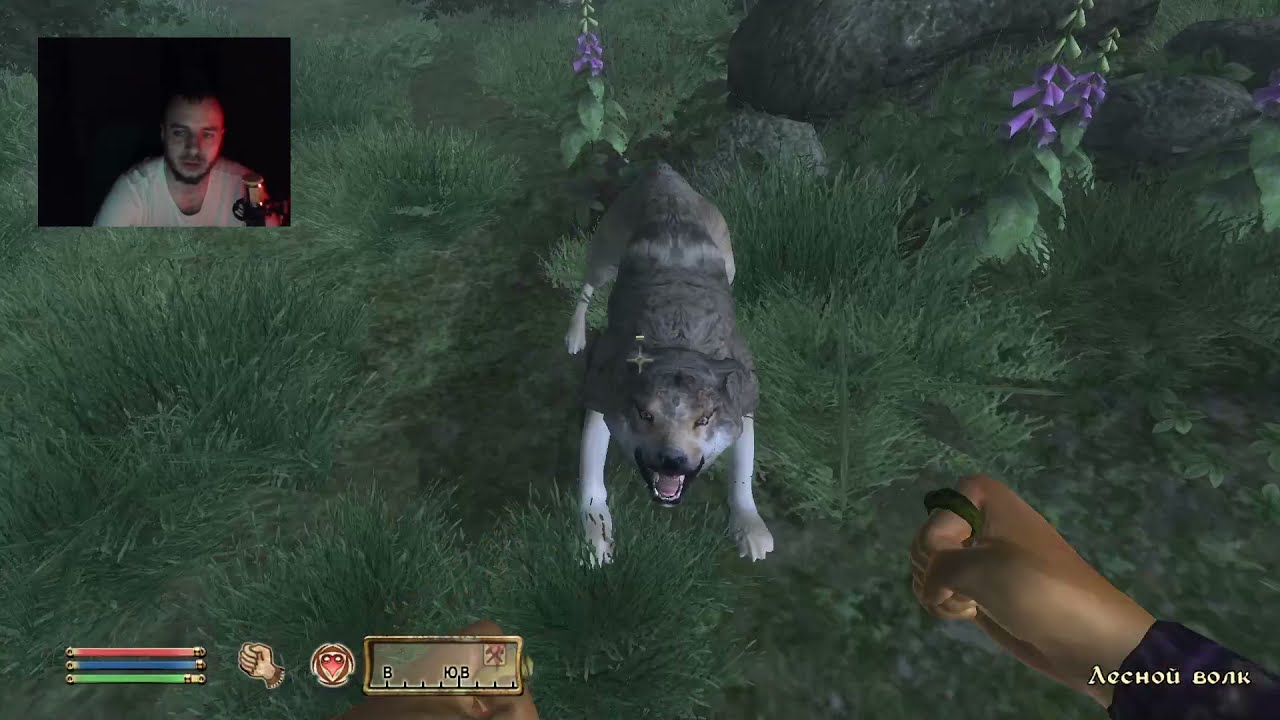 TES IV Oblivion. В поисках бритвы Мерунеса. Официальный плагин
