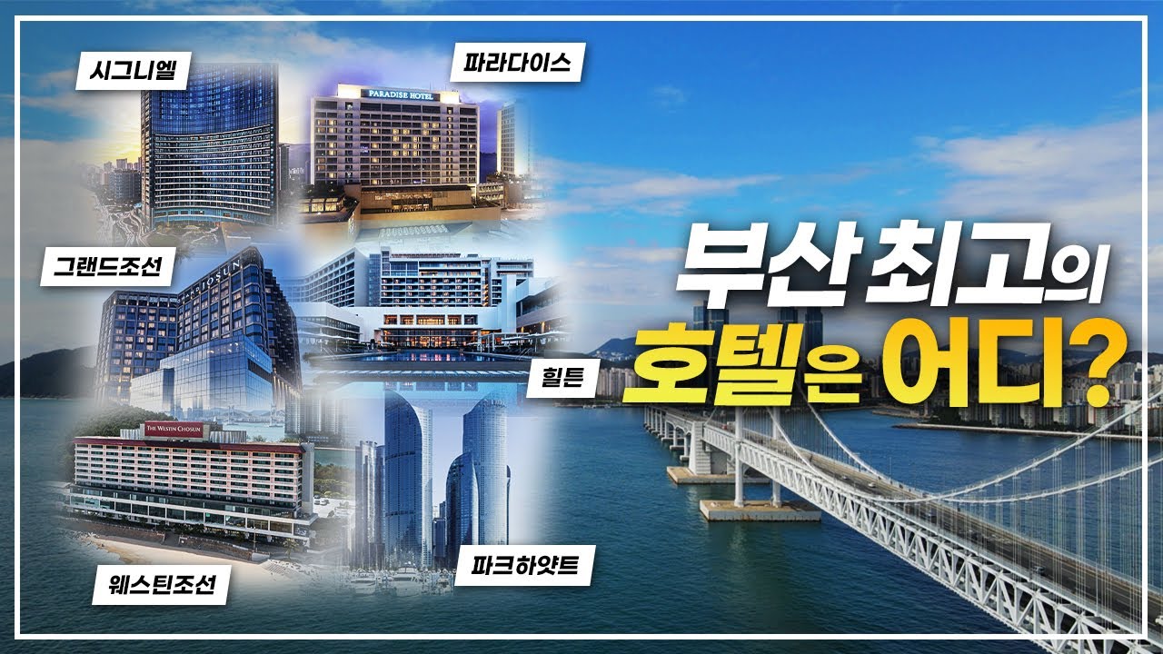 특급호텔 전쟁터 부산 바닷가⛵그중 1등은 어디? | 시그니엘vs힐튼vs파라다이스vs웨스틴조선vs파크하얏트vs그랜드조선