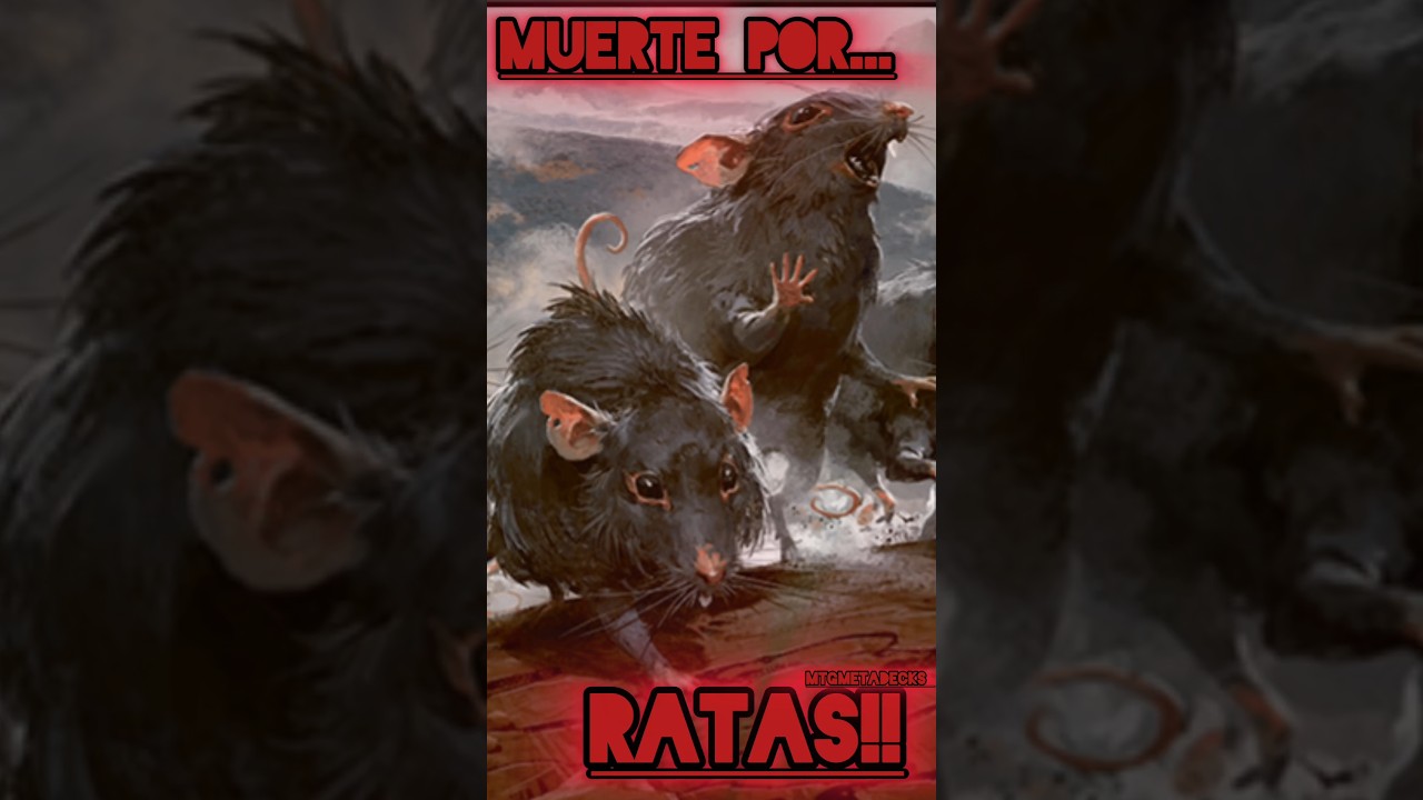 Venganza de las Ratas y Temblores del Impacto: Mazo Letal en Standard 🐀🔥 #MTG #Standard #mtghispano