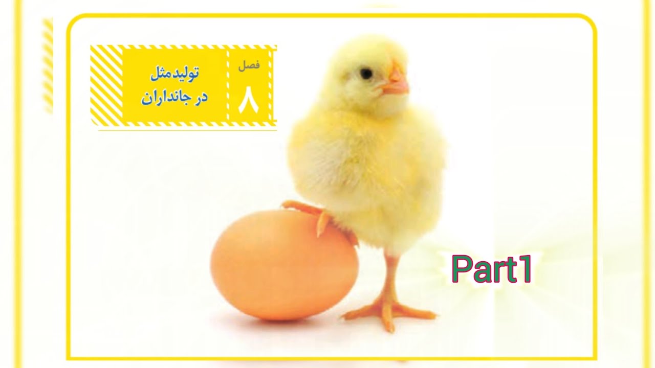 آموزش مجازی فصل هشتم علوم تجربی هشتم _part1
