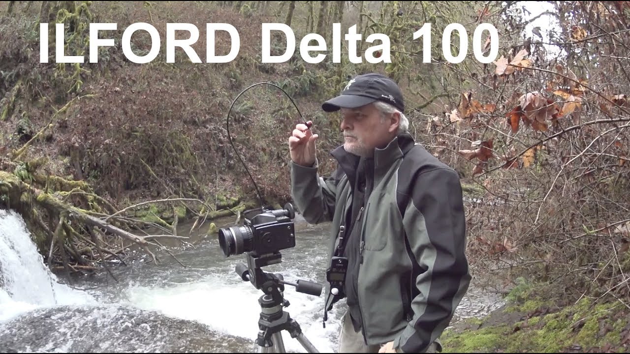 Adventures in Film | My First Roll of ILFORD Delta 100