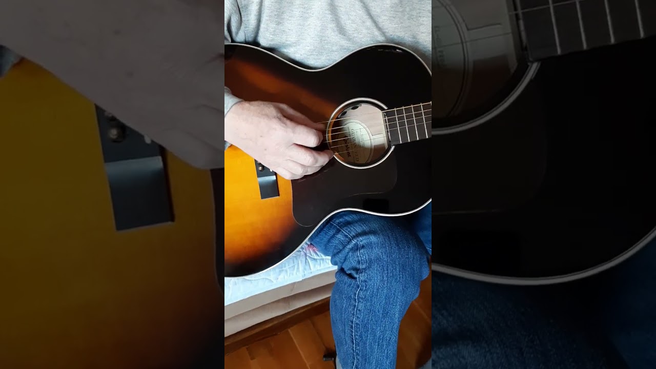 Epiphone EL-00 PRO/ VS