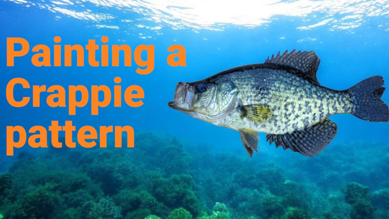 Airbrushing a crappie pattern on a 7