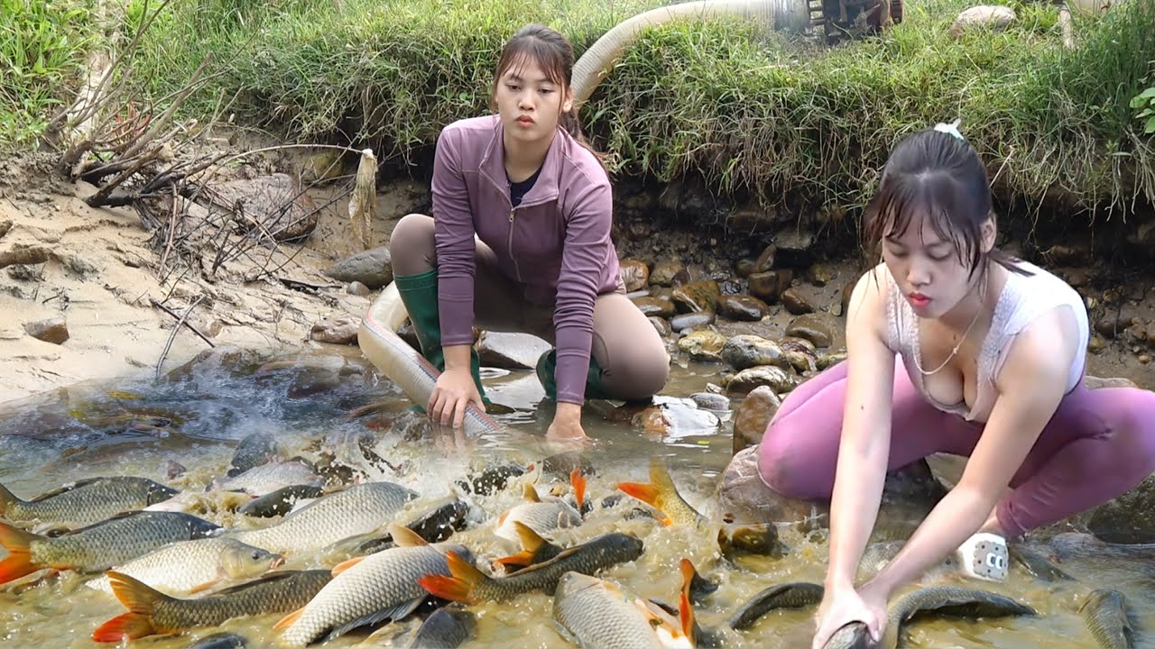 Exciting Fishing Video, Used a Pump to Suck Up All The Water In The Lakes, Harvesting A Lot Of Fish
