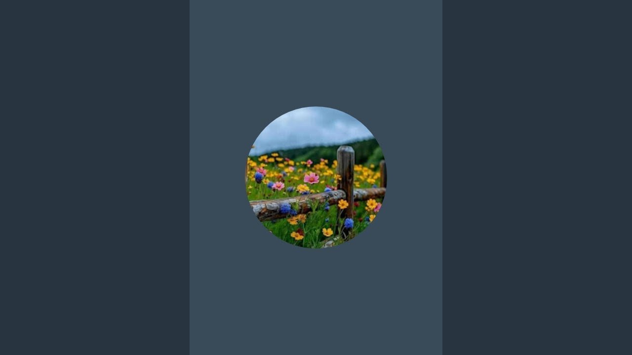 Zabeba   ዘቢባ23 is live!