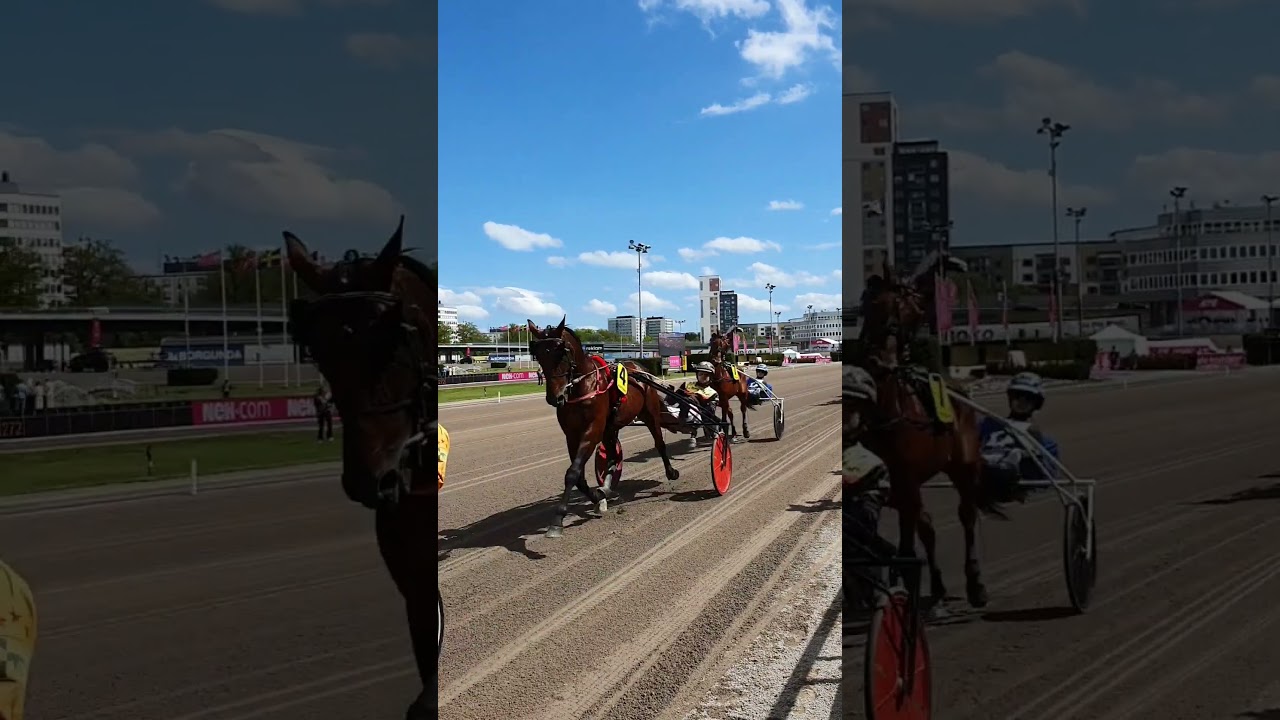 Elitloppet 2025 Solvalla | Saturday