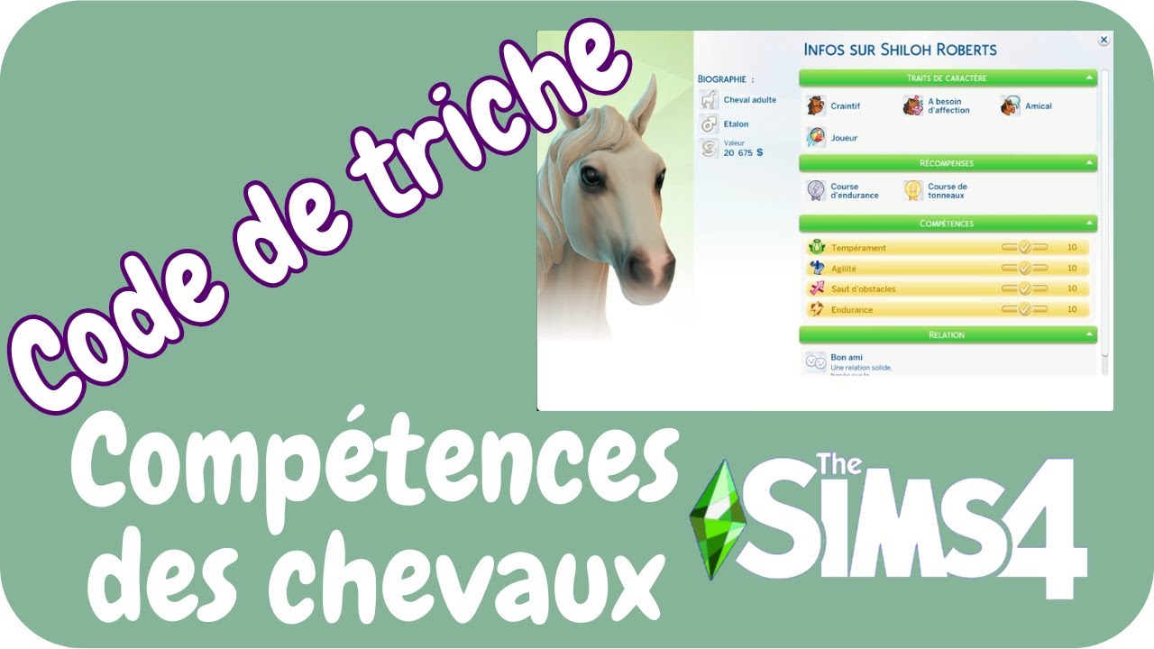 Code de triche compétences des chevaux || vie au ranch || Sims 4