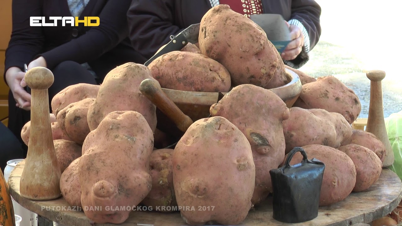 PUTOKAZI - Glamoč