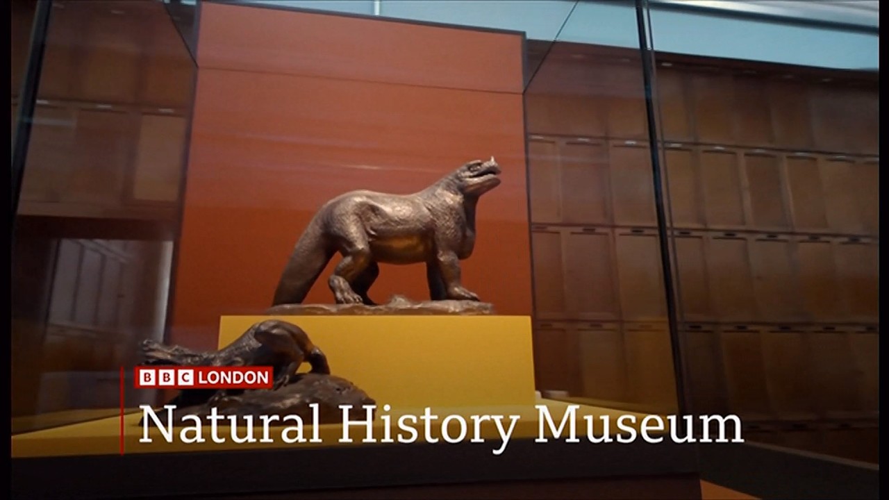 Natural History Museum open a gallery that had been closed for 80 years (UK) 15/Sep/2026