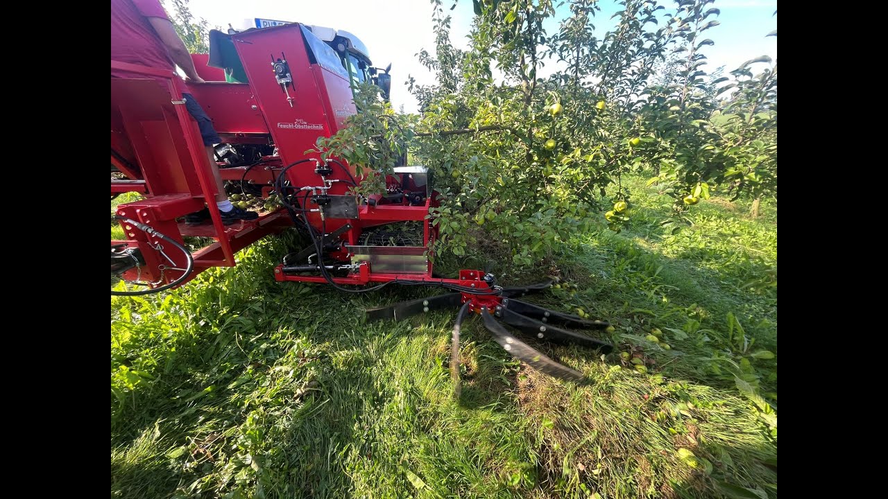 Obstauflesemaschine TA50, apple picker tractor, cider apple harvest, Récolte de pommes