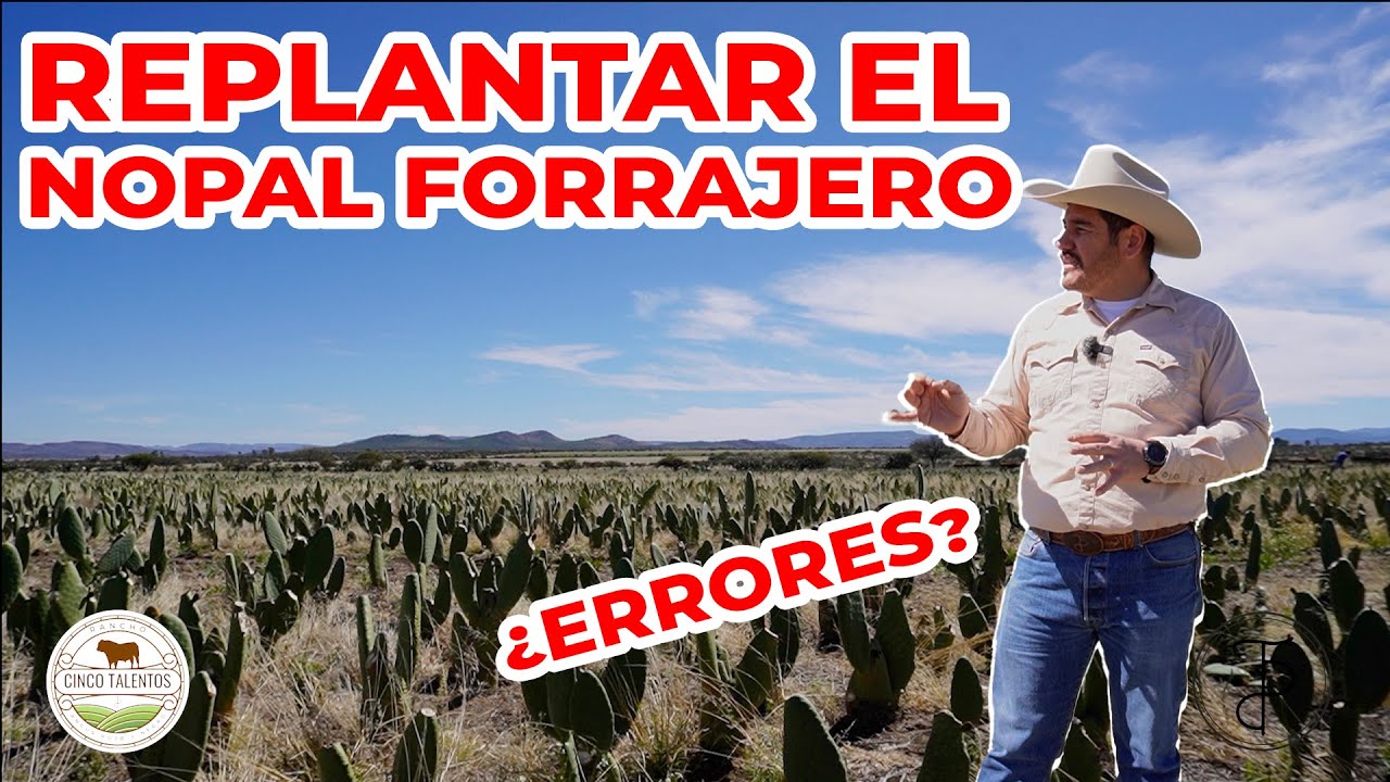 REPLANTAR EL NOPAL FORRAJERO | Rancho Cinco Talentos | Zacatecas