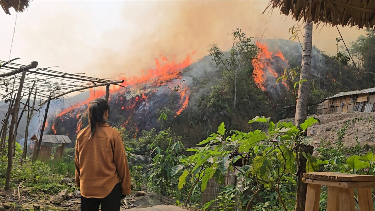 FIRE Breaks Out On Farm | Tiểu Liễu-17 year old