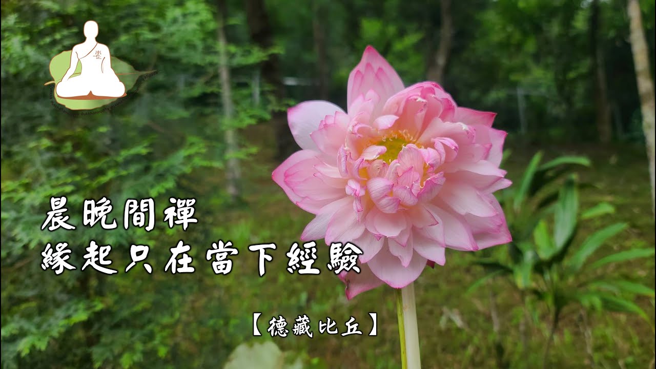 晨晚間禪-緣起只在當下經驗[德藏比丘]240315