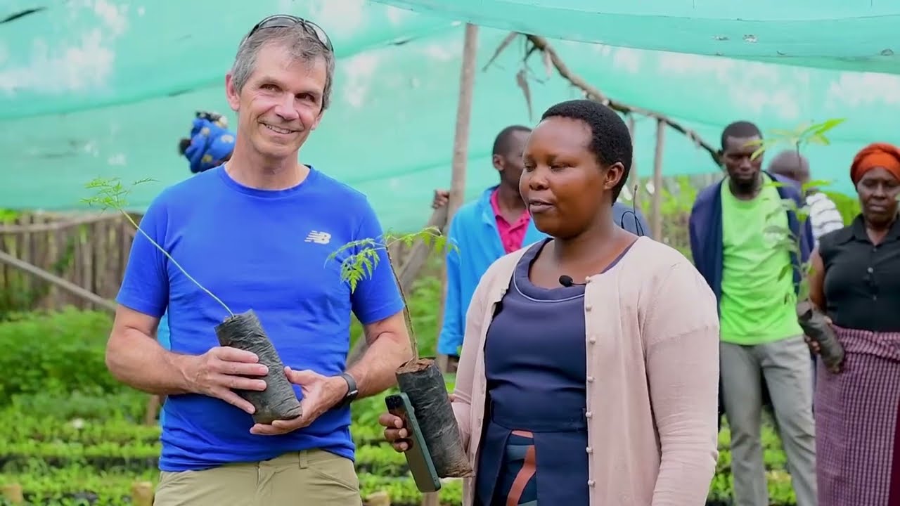 Green Paradise Unveiled: E9 Solutions Tree Nursery - Melia Volkensii, Mango, Neem, & More