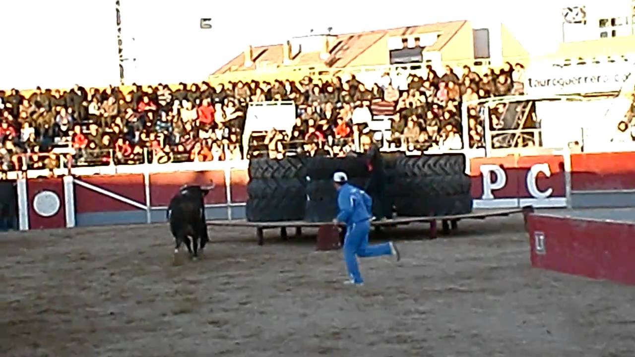 TORO RATON EN PEDROLA (ZARAGOZA) (Parte 2)