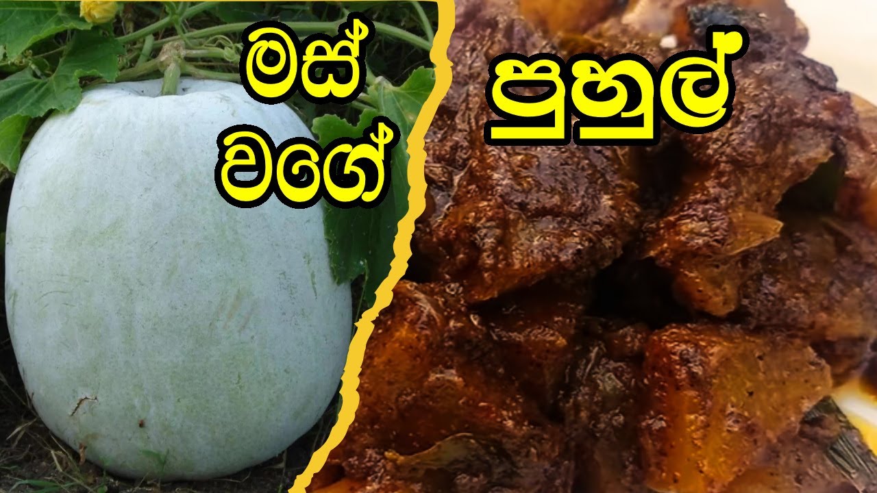 රසකාරක නැතුව මස් වගේ රසට පුහුල් උයමු | Spicy winter melon curry sir lanka 🟢 veggie master 🟢