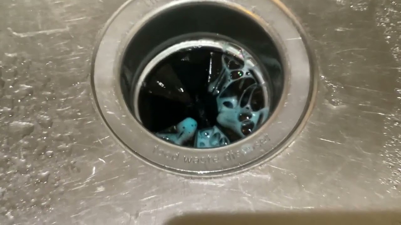Garbage Disposal Cleaner