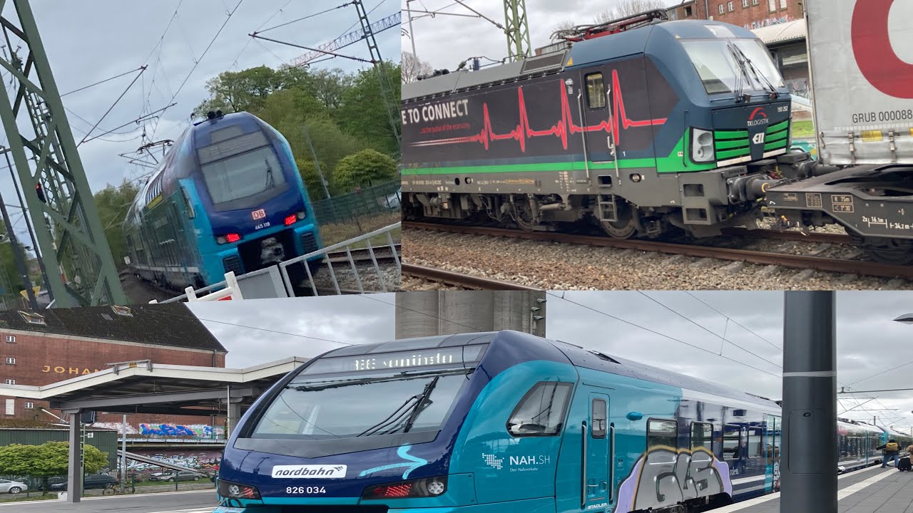 Züge in Bad Oldesloe: Stadler Paradies und Dostos nach Hamburg, Neumünster, Husum und Lübeck.