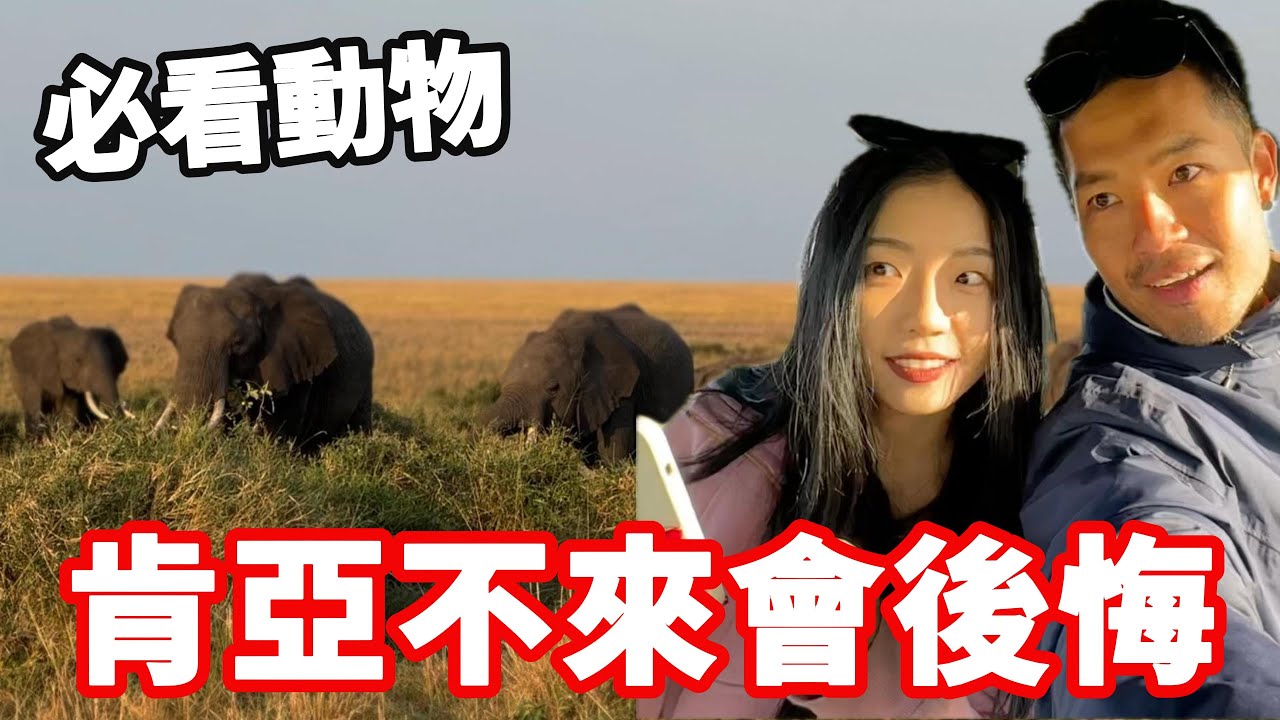[肯亞28]肯亞不來會後悔🔥最野safari看動物～空姐圓夢‼️｜馬賽馬拉🇰🇪