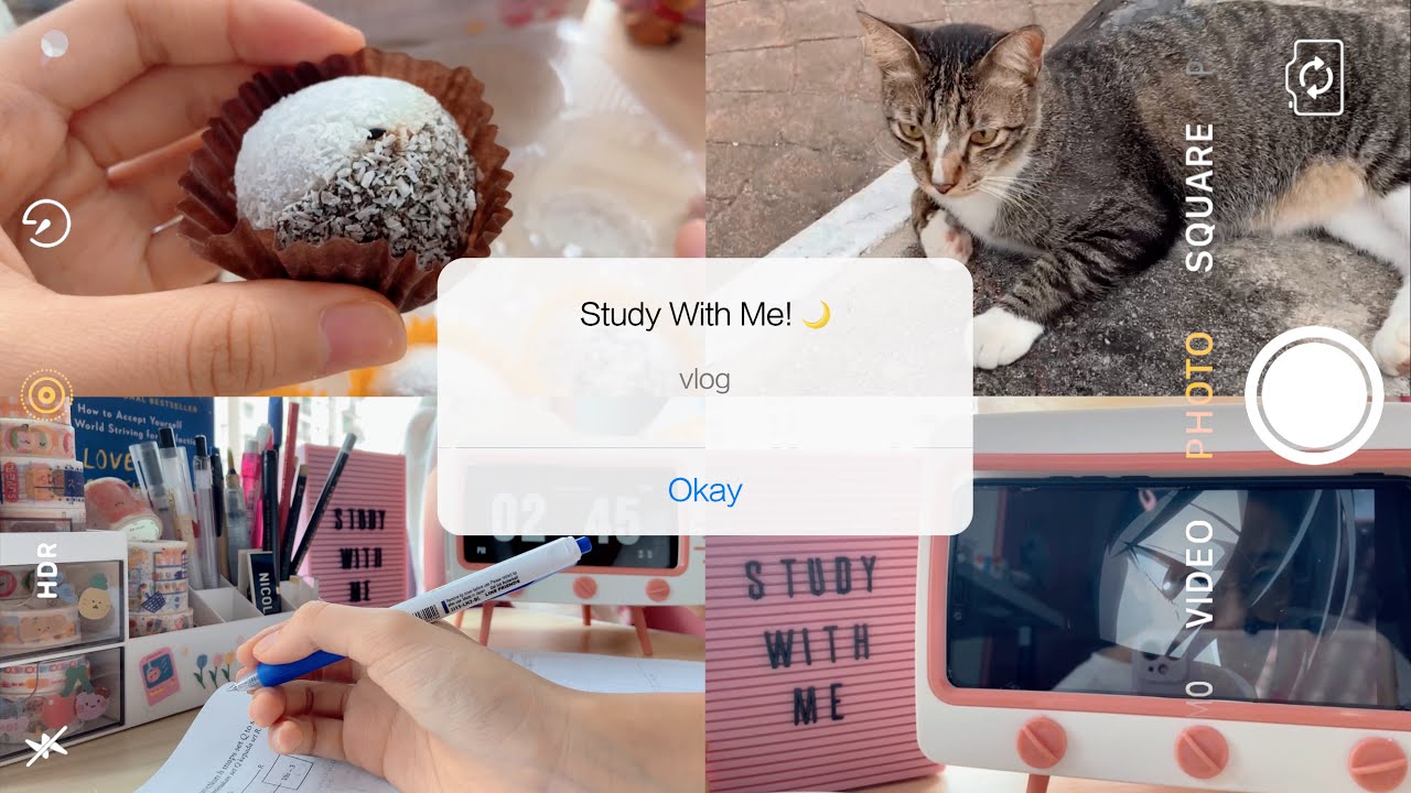 study vlog (malaysia) 🐌 : mochi, anime, productive study with me | 宅在家vlog