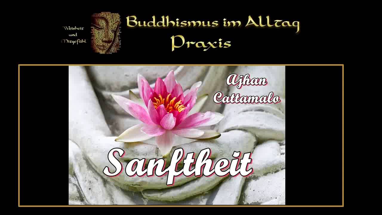 Sanftheit - Ajahn Cattamalo