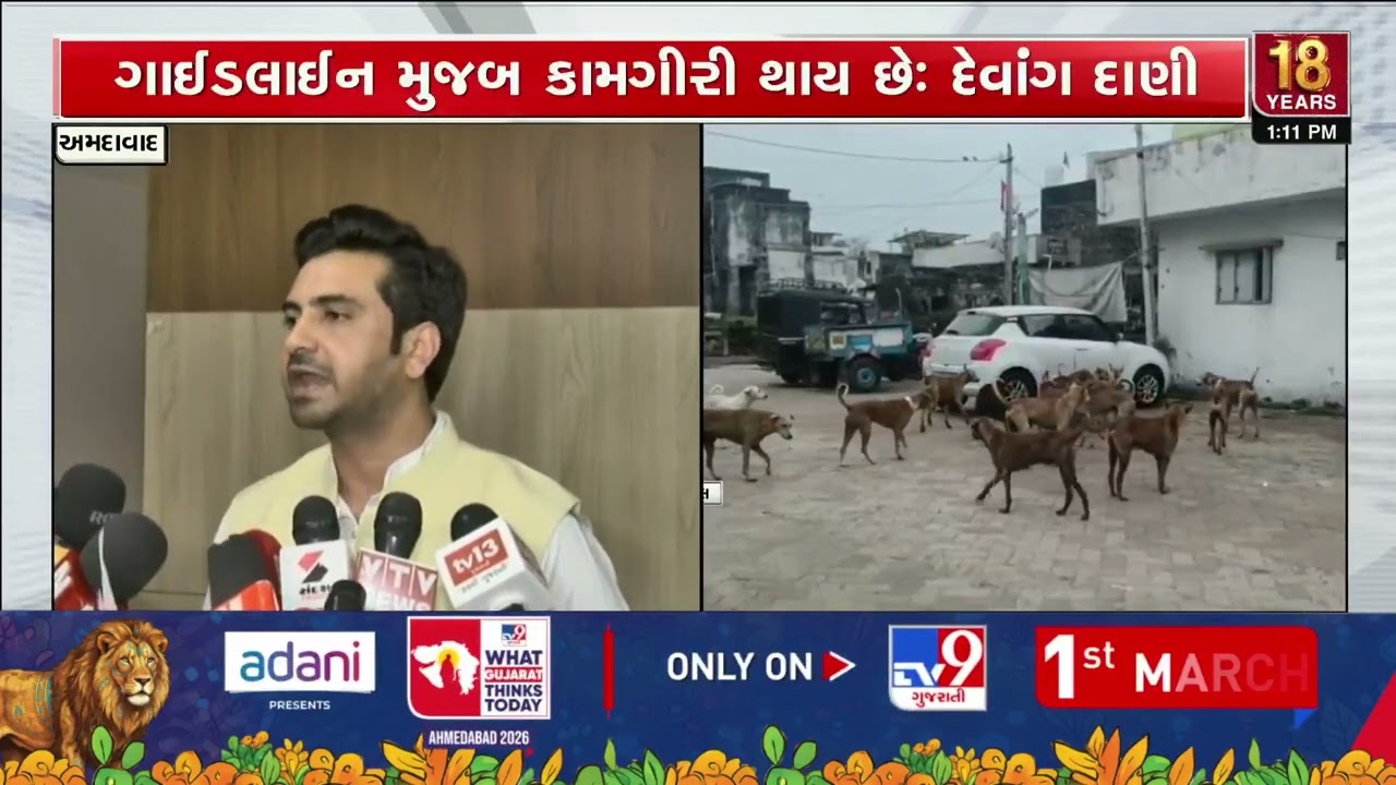 Opposition Slams AMC Over Rising Stray Dog Menace in Ahmedabad | Gujarat | TV9Gujarati