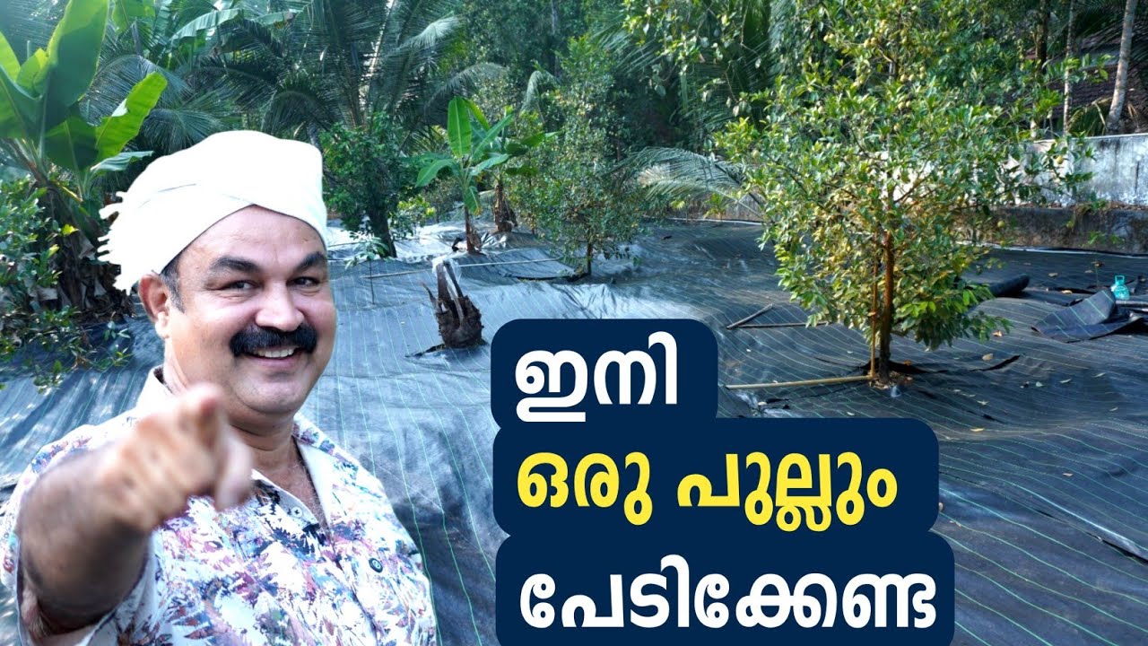 കുറഞ്ഞ ചിലവിൽ പറമ്പിലെ പുല്ല് ഈസിയായ് കളയാം | Grass Removing Tips | Home Tips Malayalam
