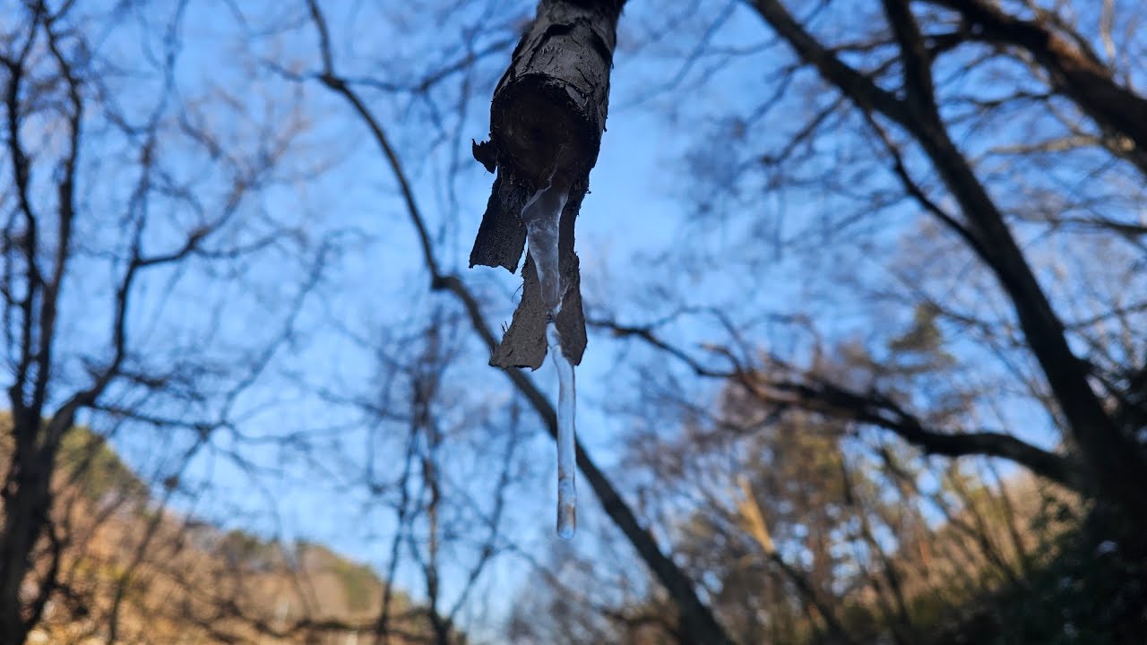 지리산 600 고지 산골의 겨울나기