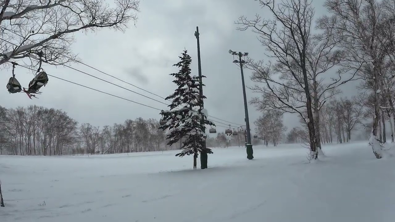 Niseko Annupuri Snowboarding, Top to Bottom