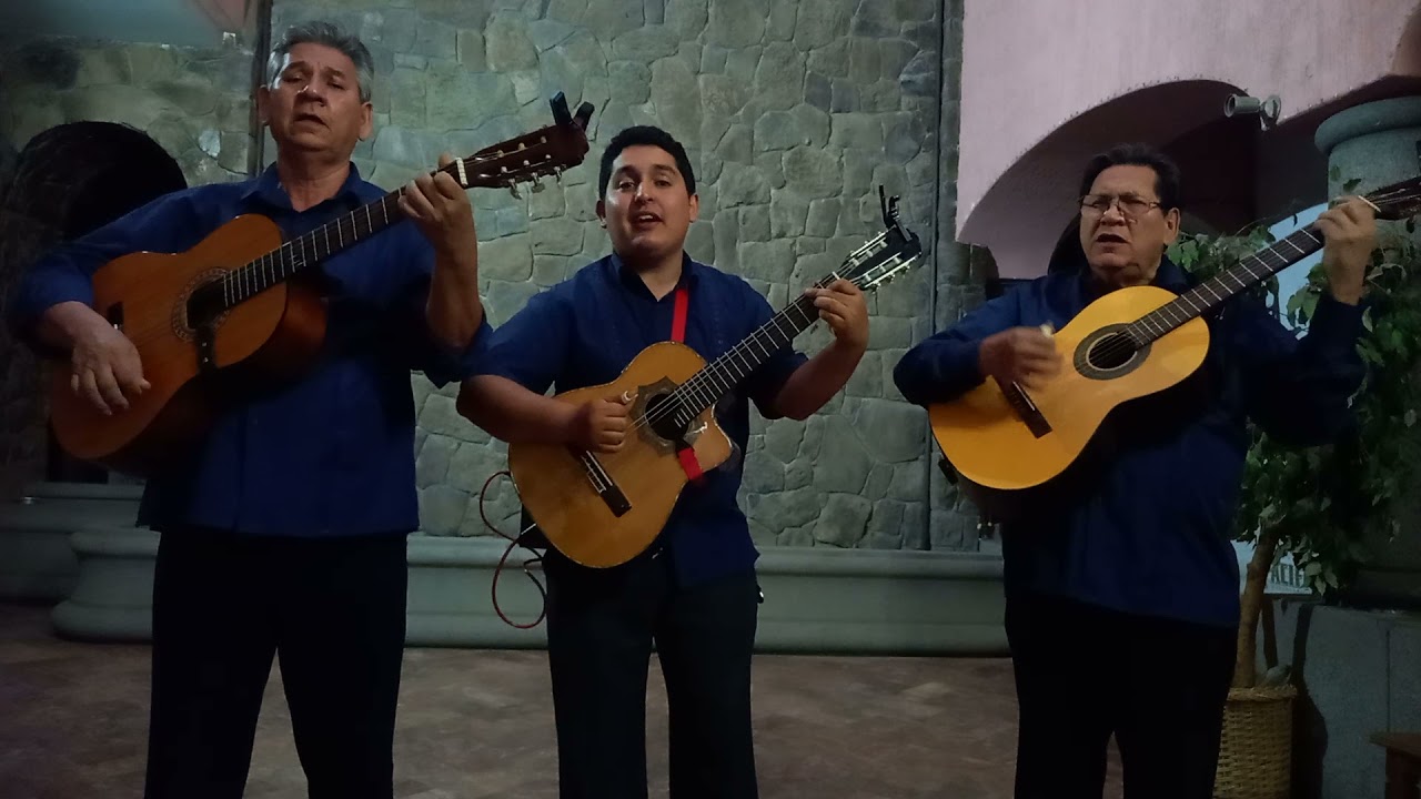 Moliendo café - Trío Imperial