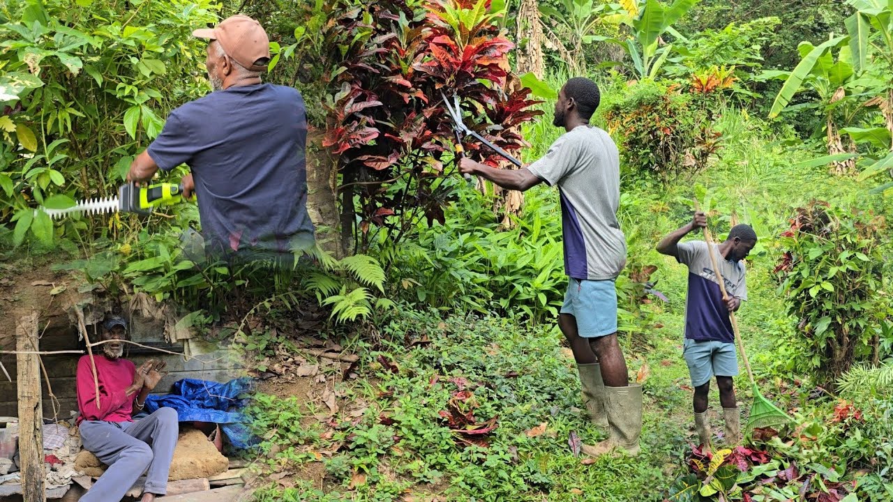 Uncle Dickie had some Unusual guest || putting the new tools to work || herbal & food purposes 