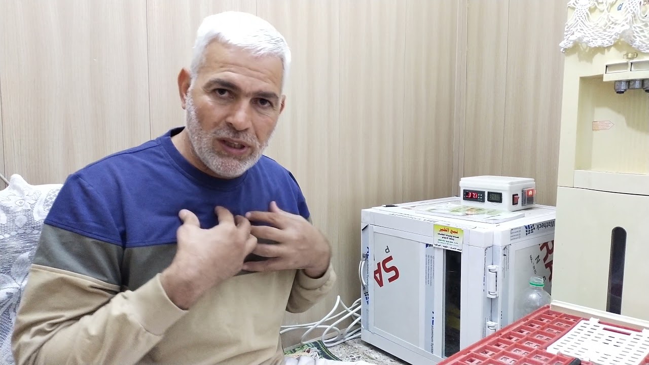 فائدة الفقاسه حتى لو ما عندك دجاج شوف الربح